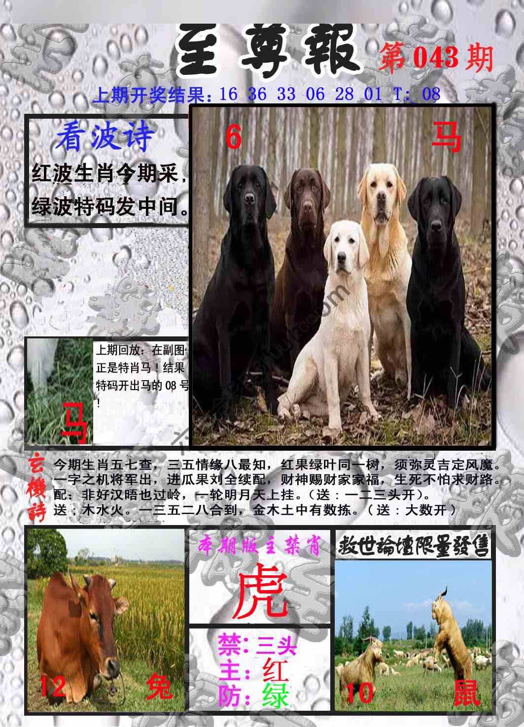 至尊报