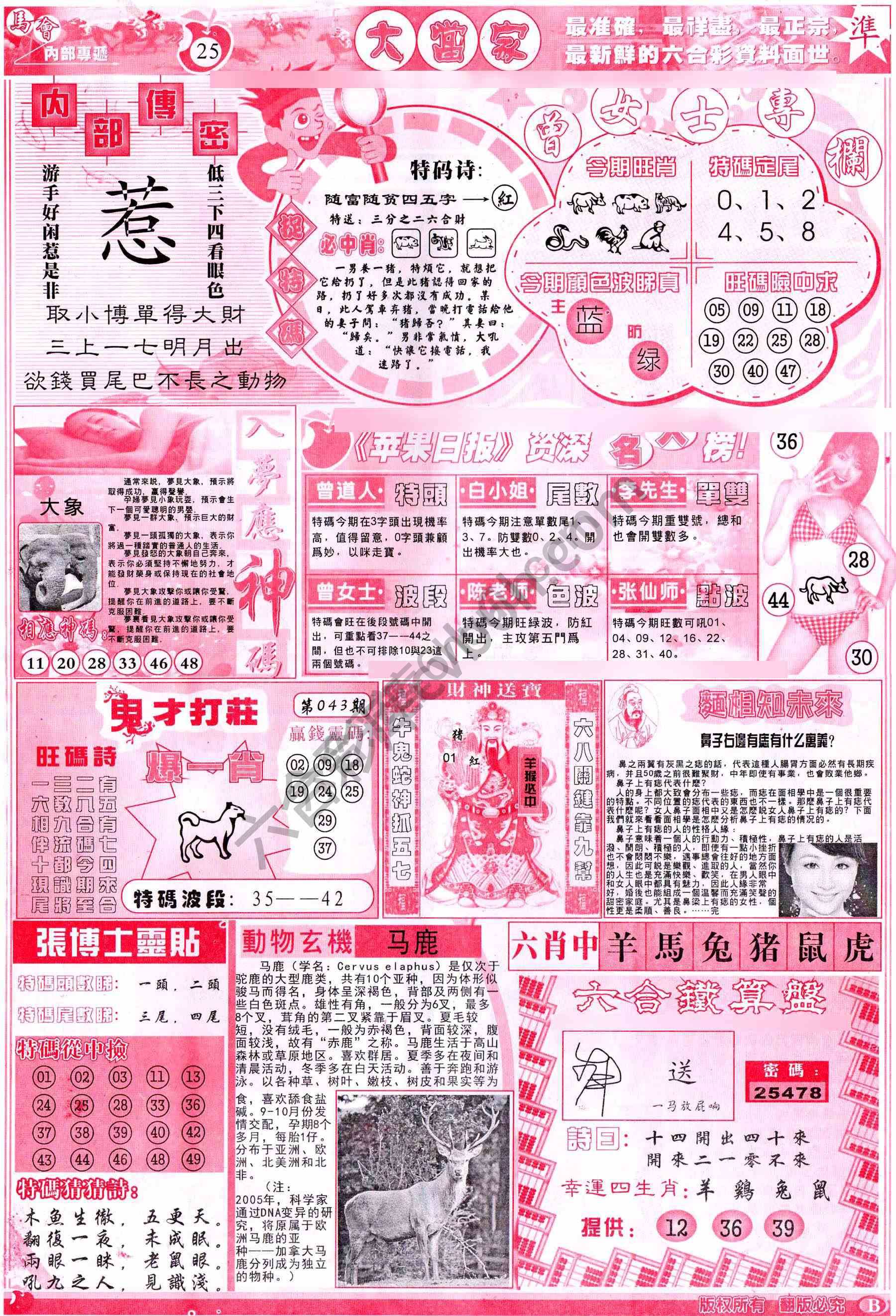 大当家