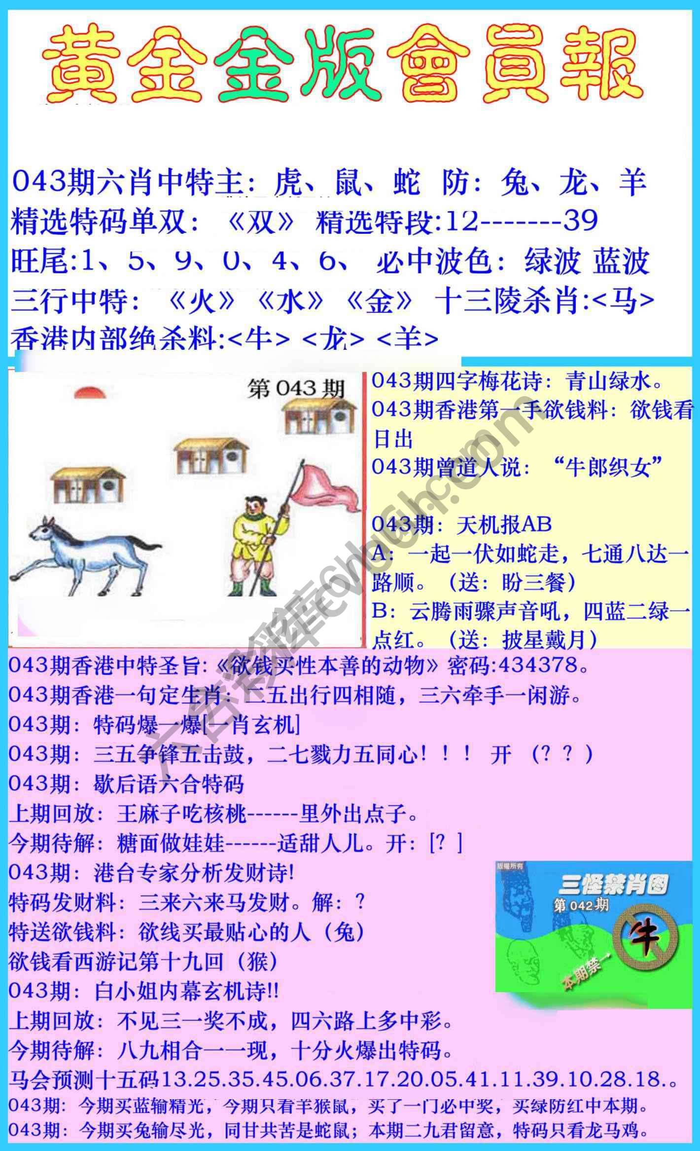 黄金金版会员报