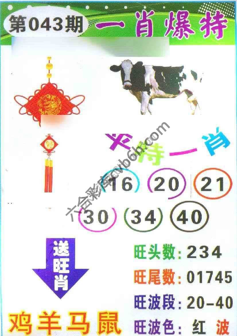 一肖爆特（新版）