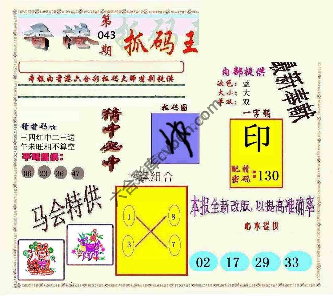 新抓码王