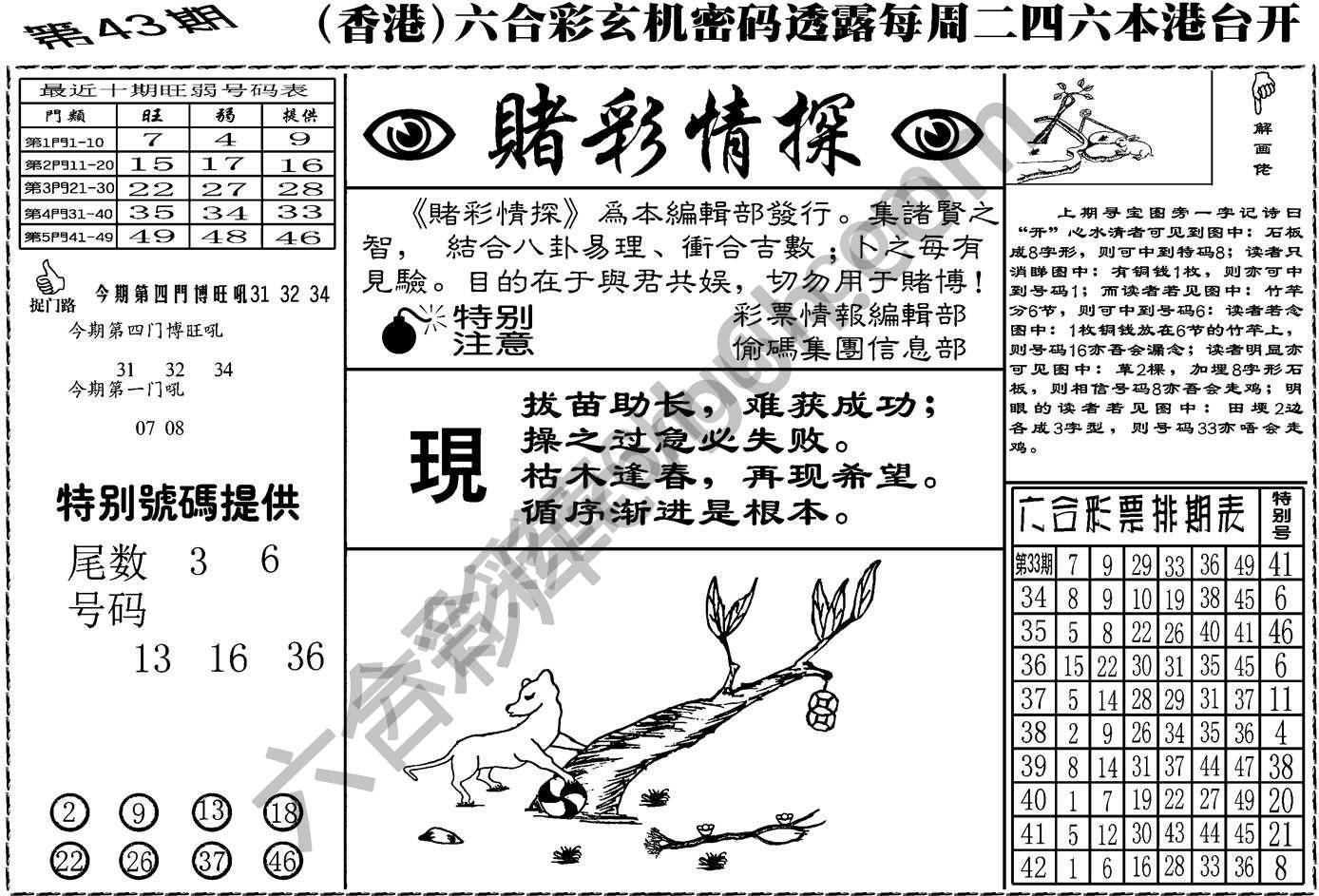 赌彩情探