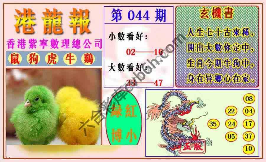 港龙报