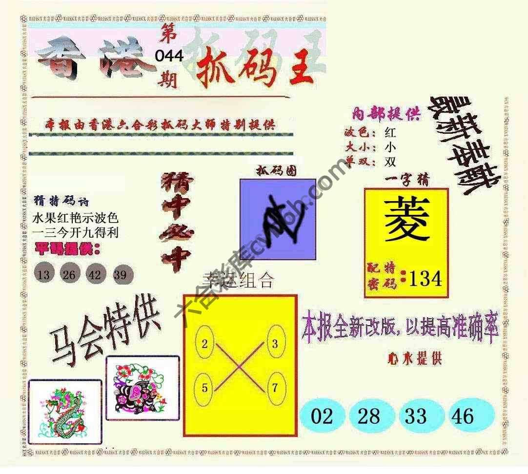 新抓码王