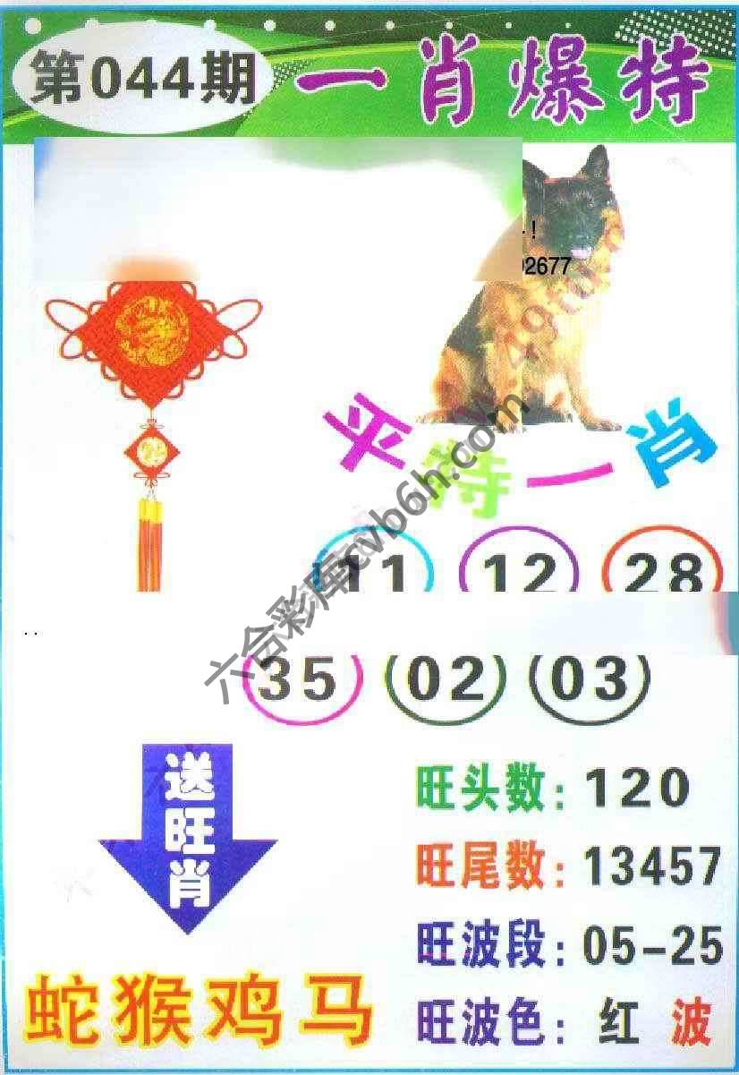 一肖爆特（新版）