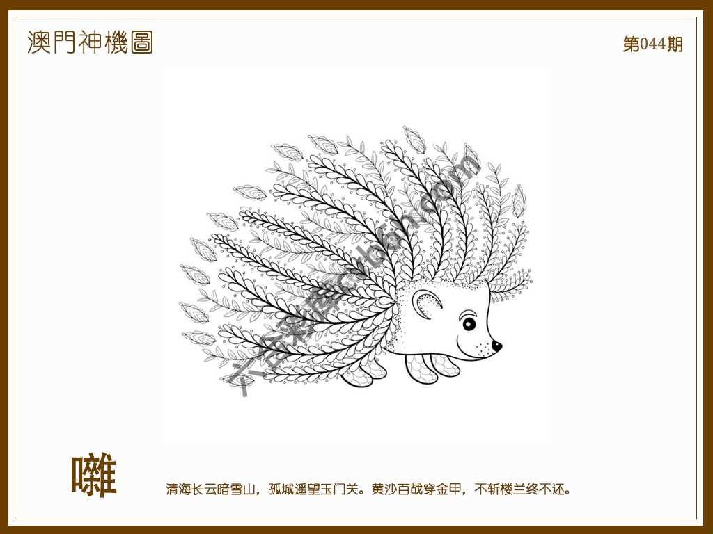 澳门神机图