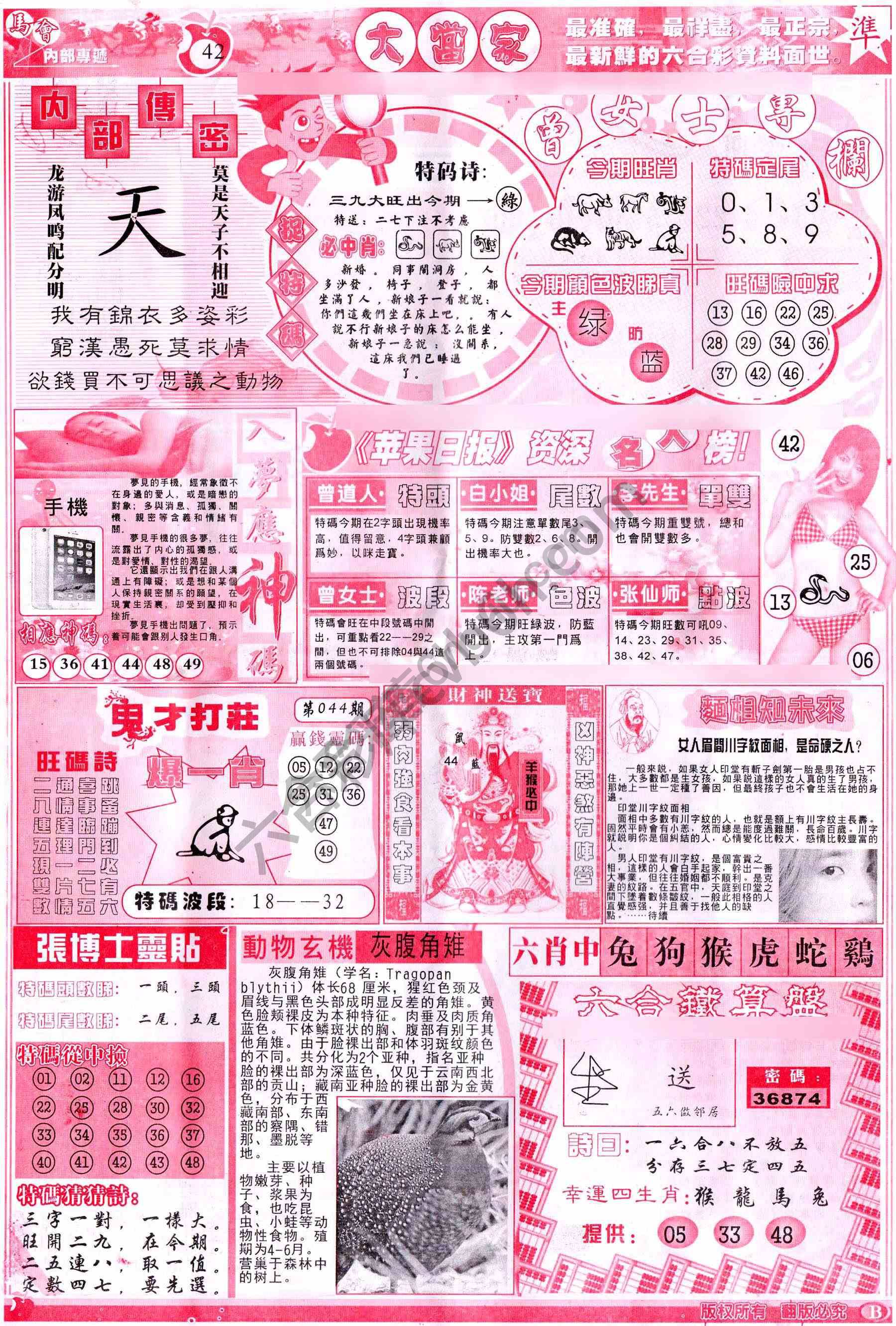 大当家
