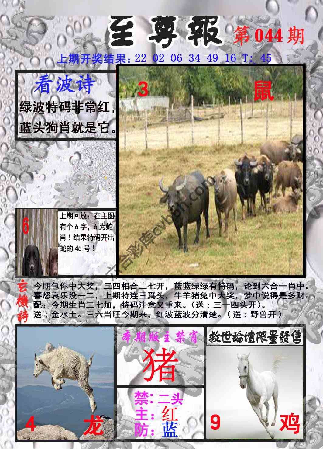 至尊报