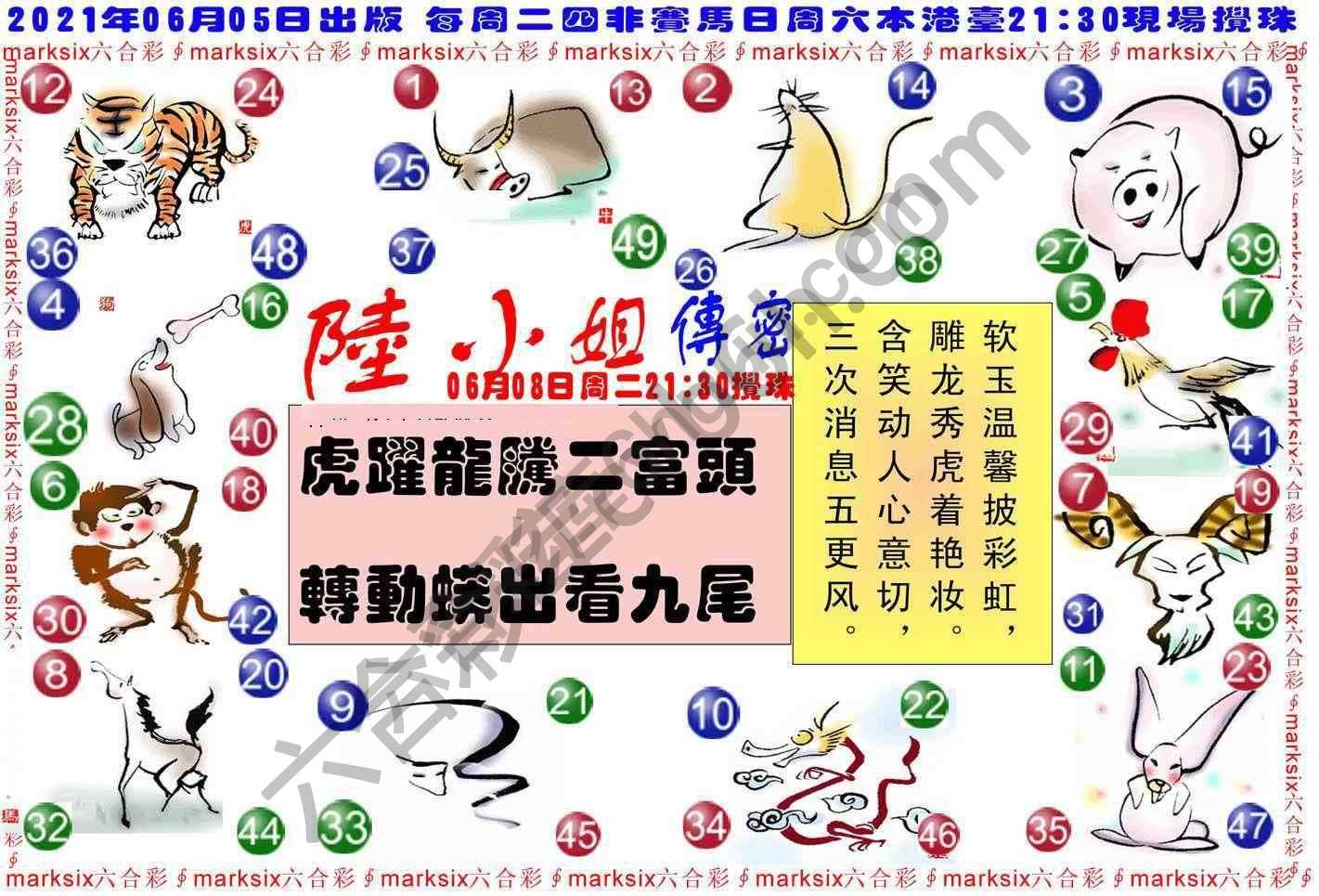 陆小姐传密
