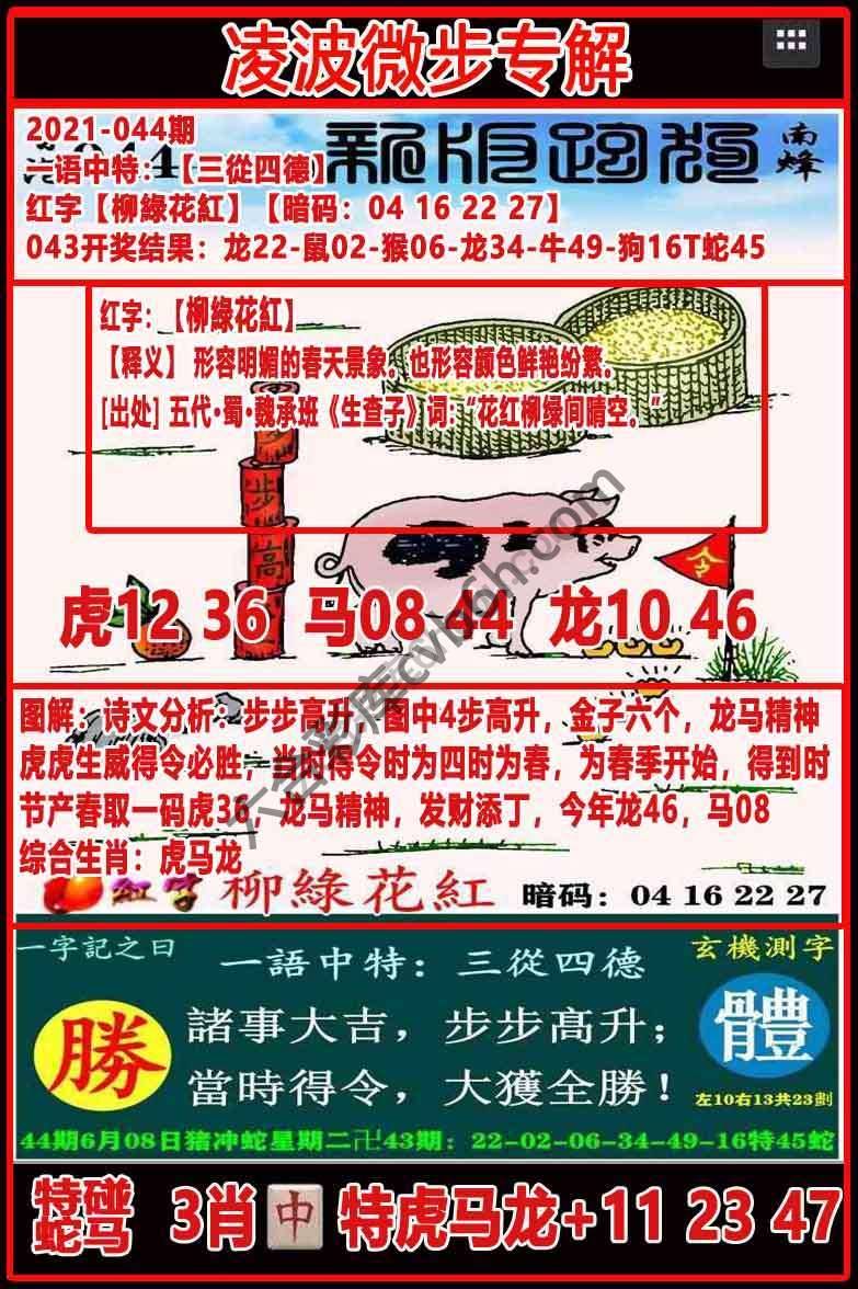 凌波微步解跑狗