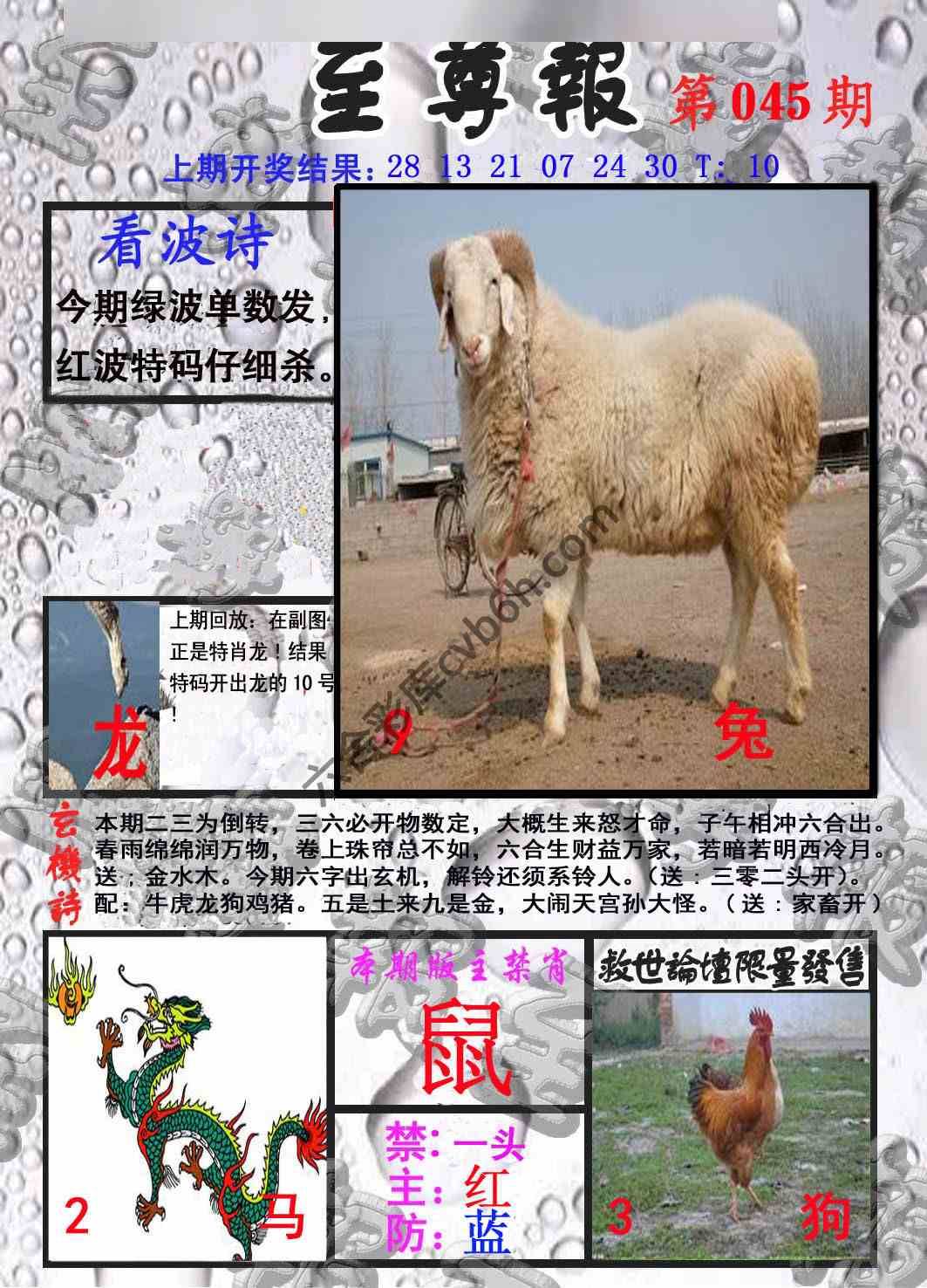 至尊报