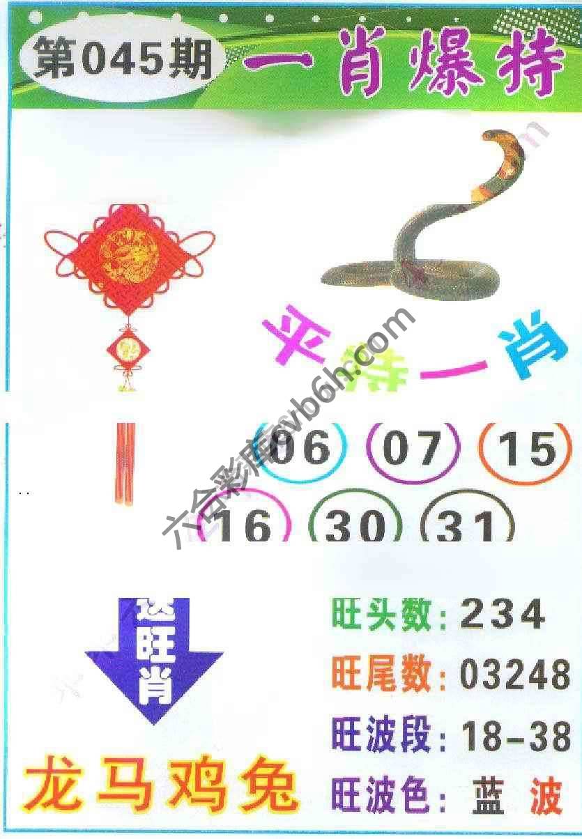 一肖爆特（新版）