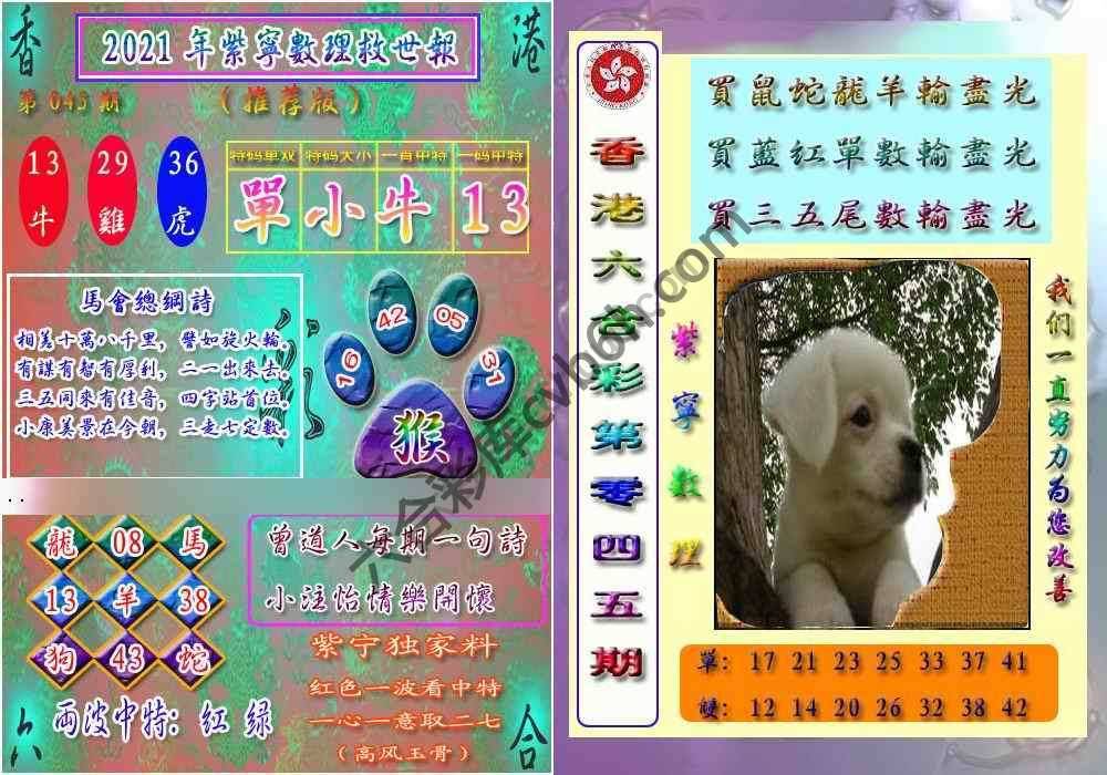 数理救世报
