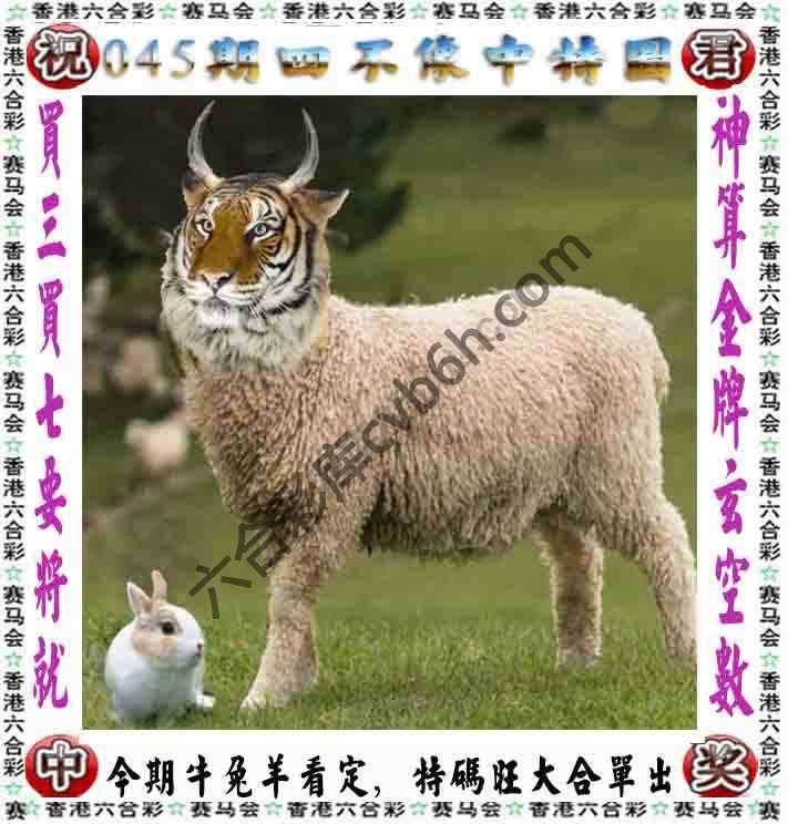 四不像中特图