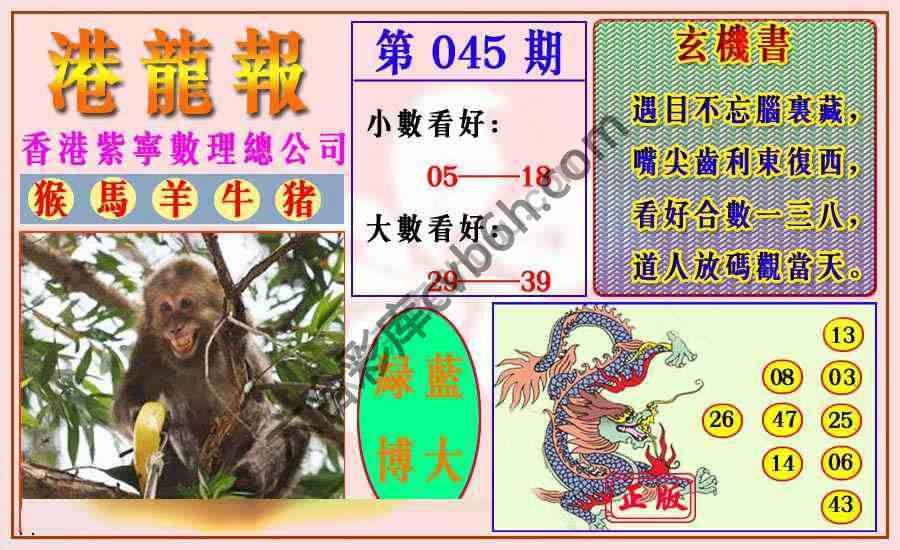 港龙报