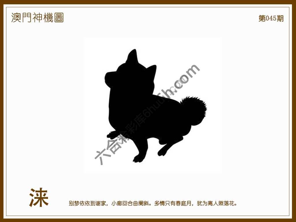 澳门神机图