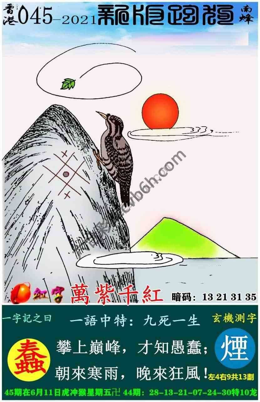 跑狗图（新版）