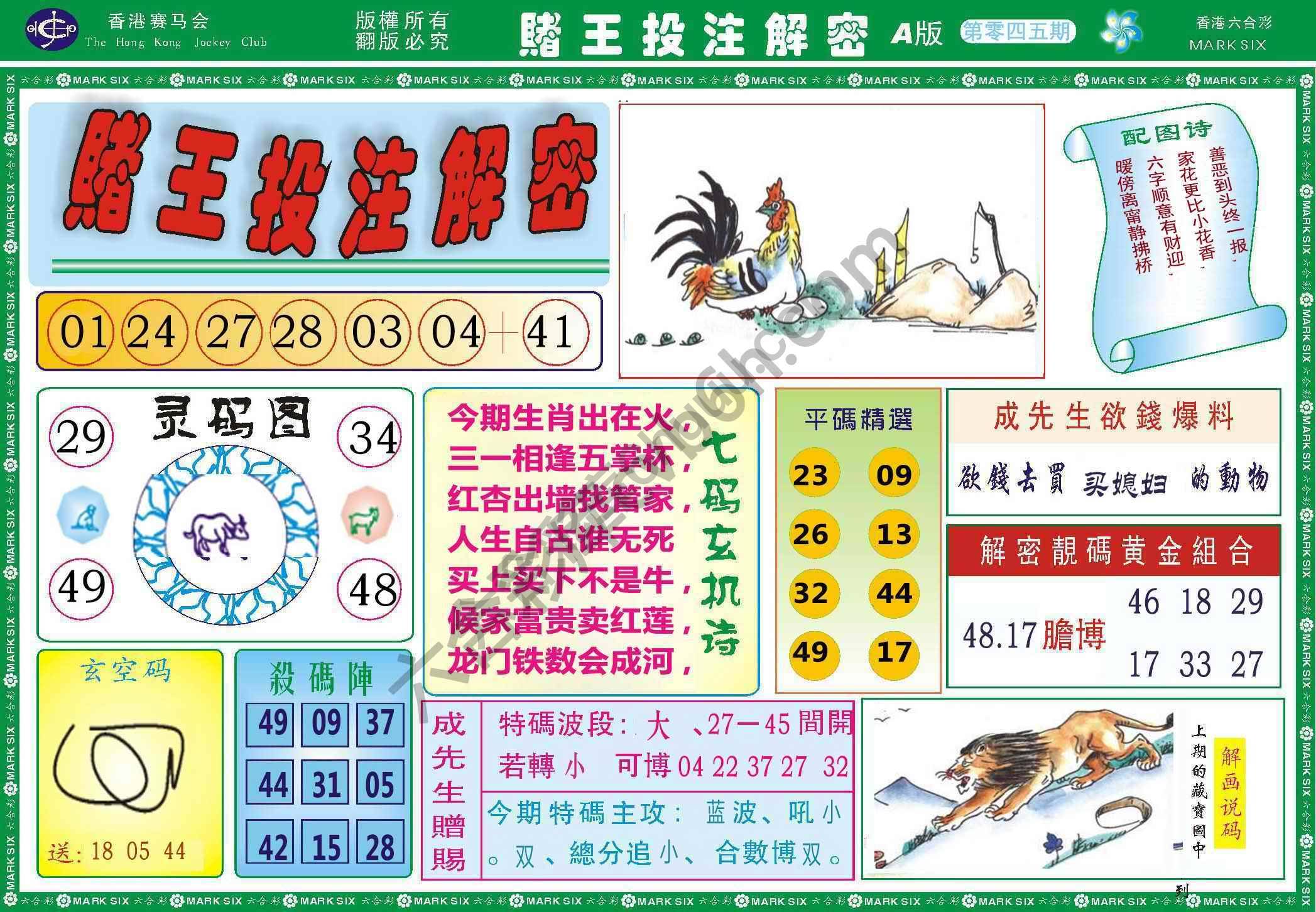 赌王投注解密