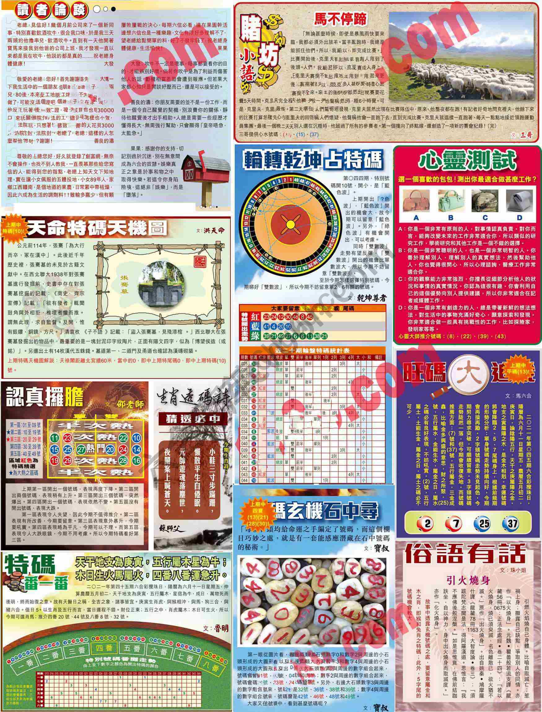 大版贴士皇
