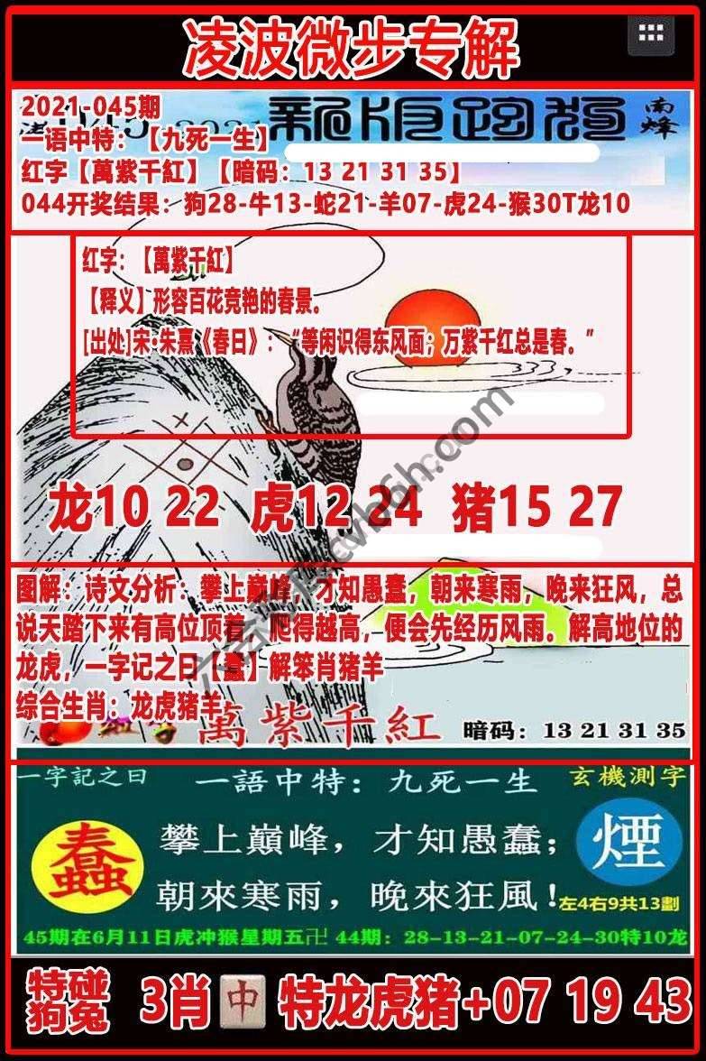 凌波微步解跑狗