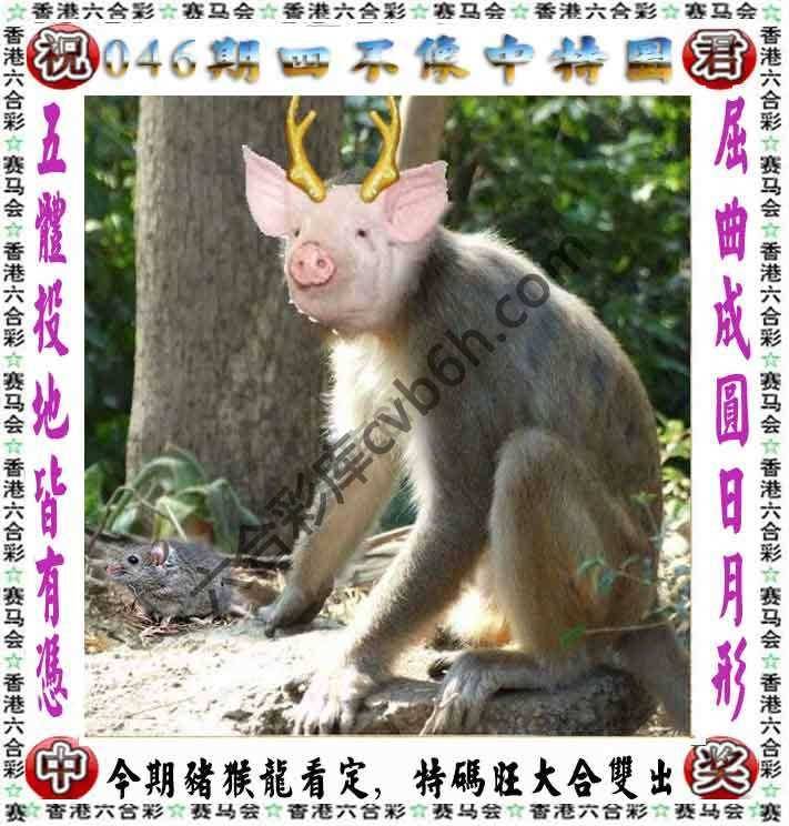 四不像中特图