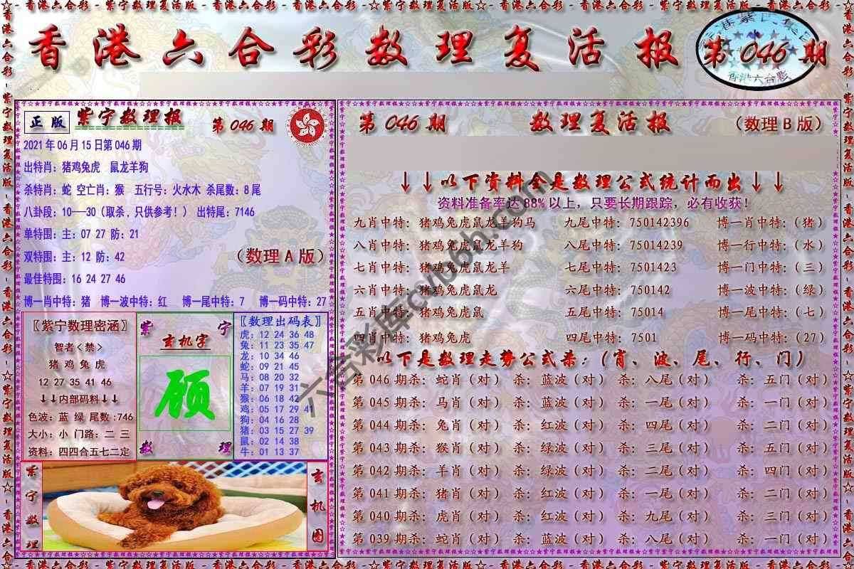 数理复活报