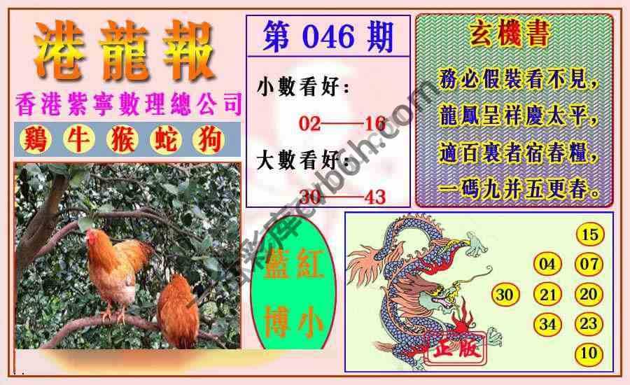 港龙报