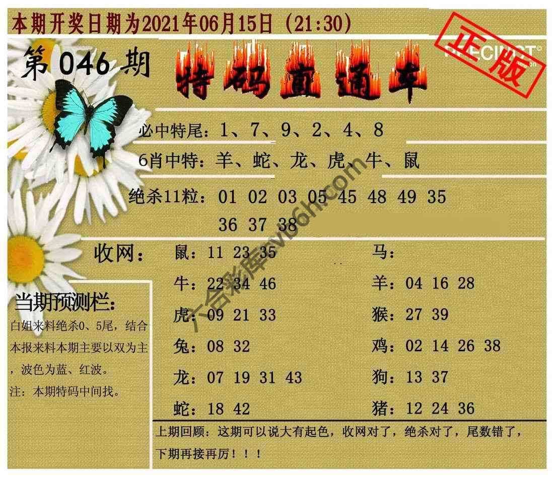 特码直通车