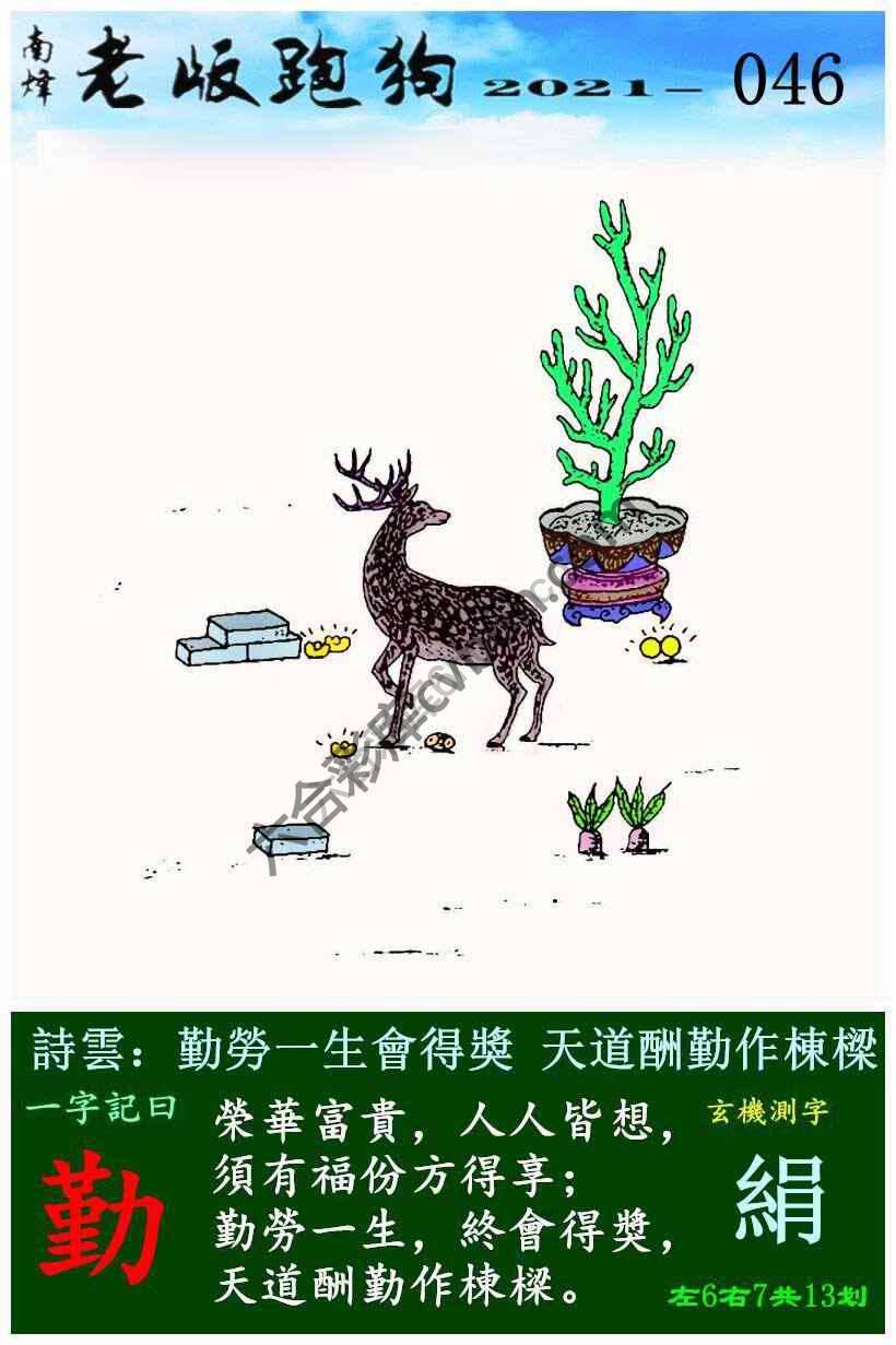老版跑狗图