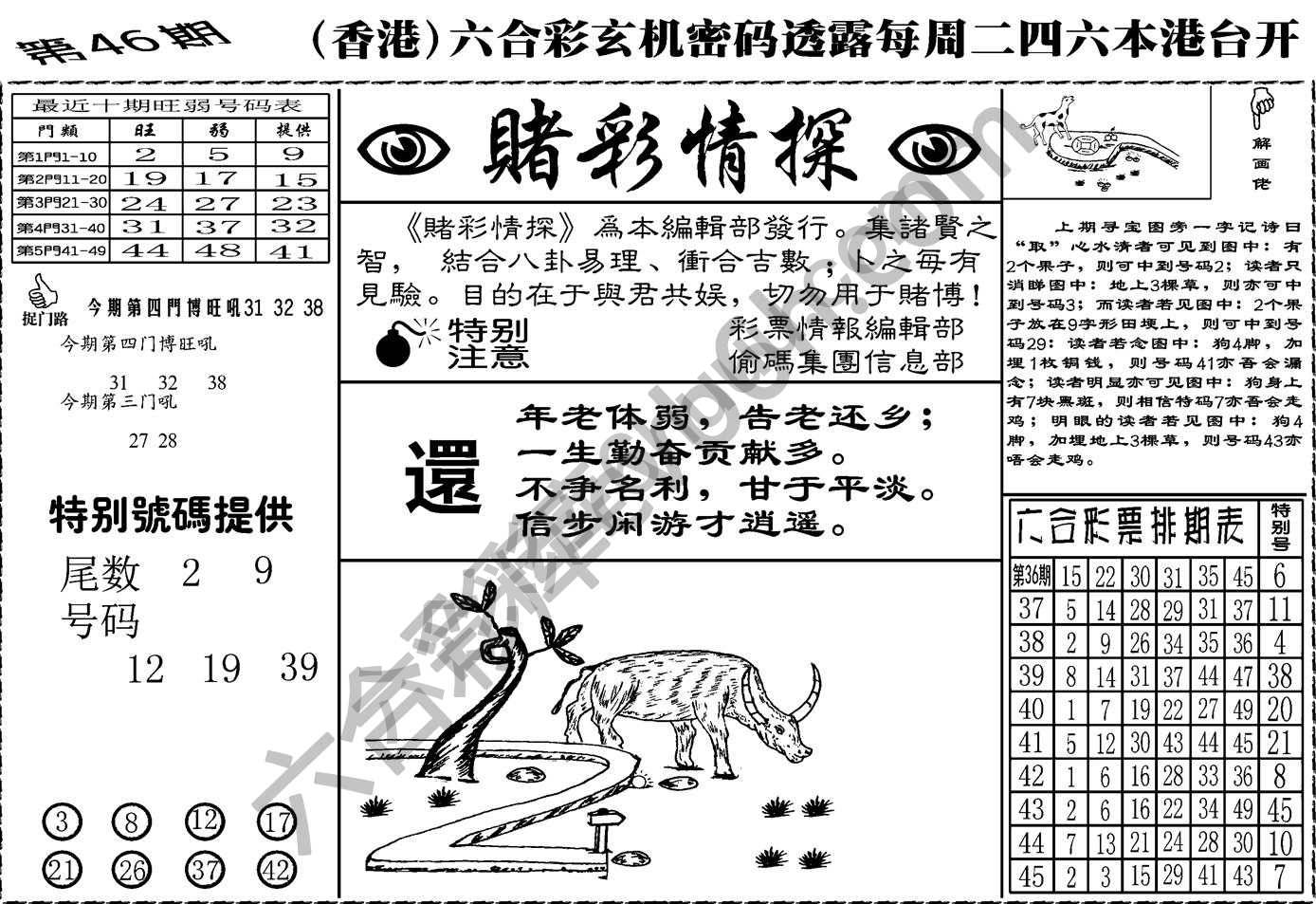 赌彩情探