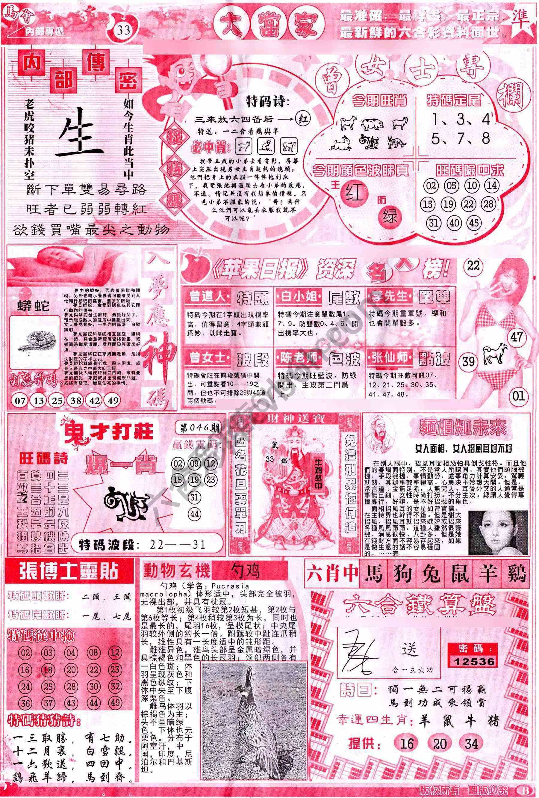 大当家