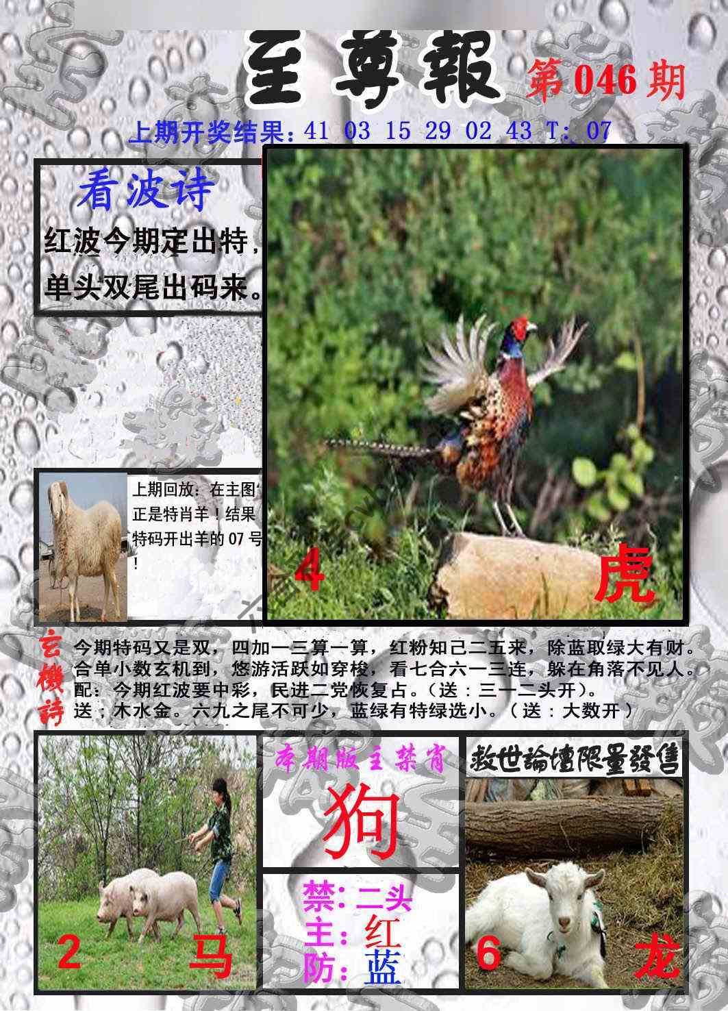 至尊报