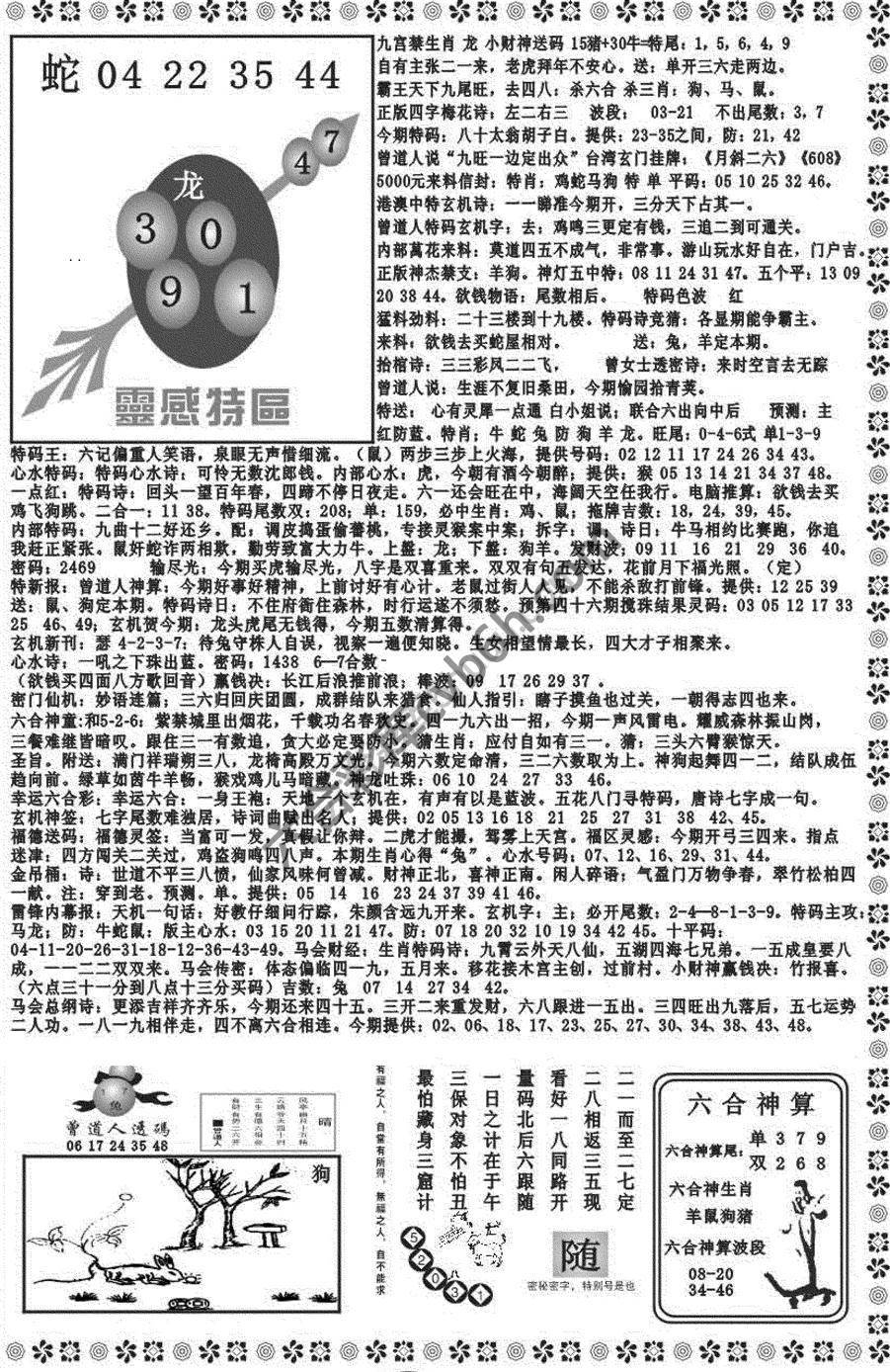 新香港彩霸王