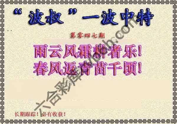 波叔一波中特