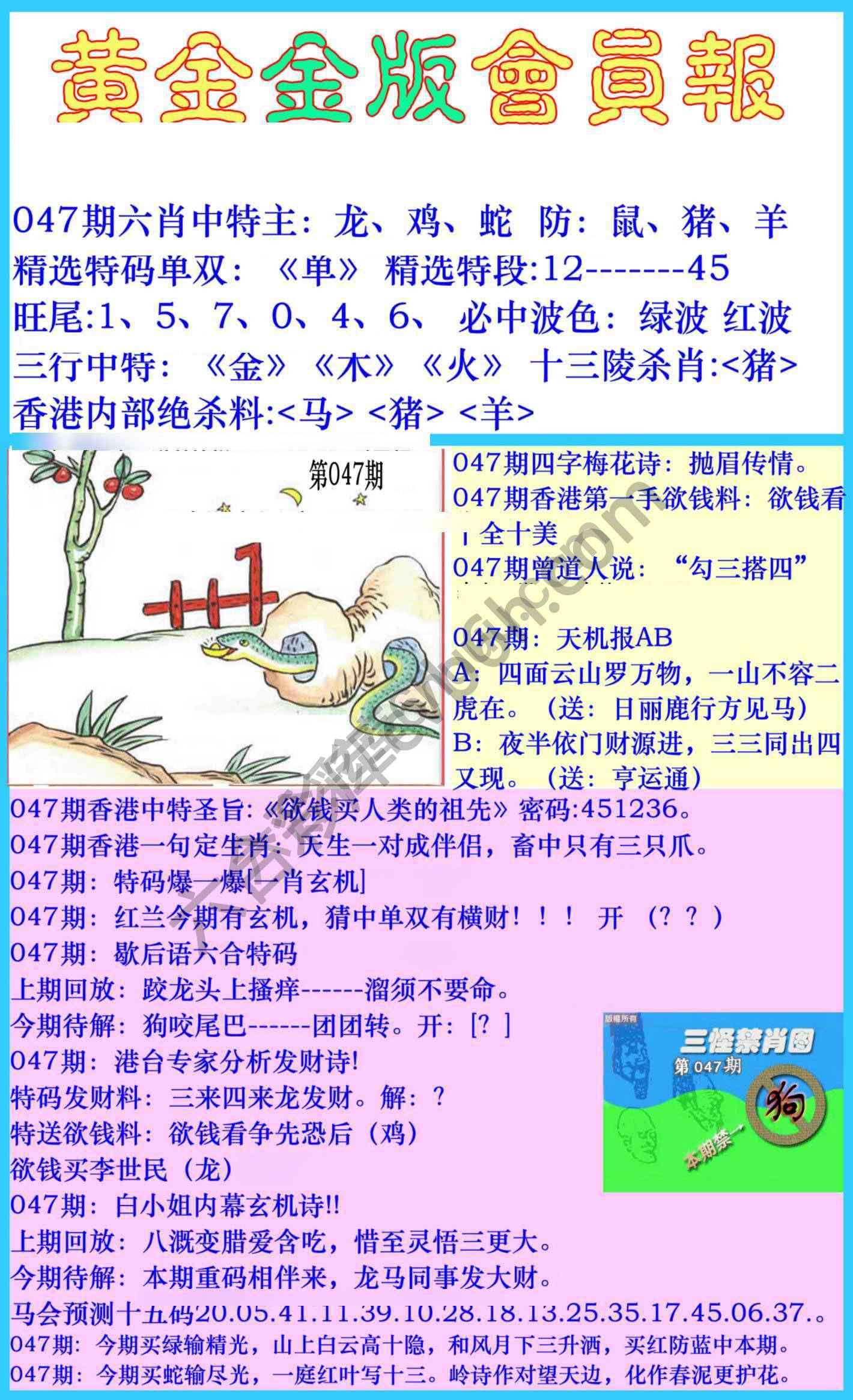 黄金金版会员报