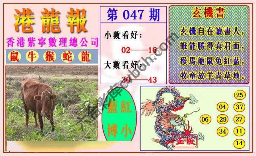 港龙报