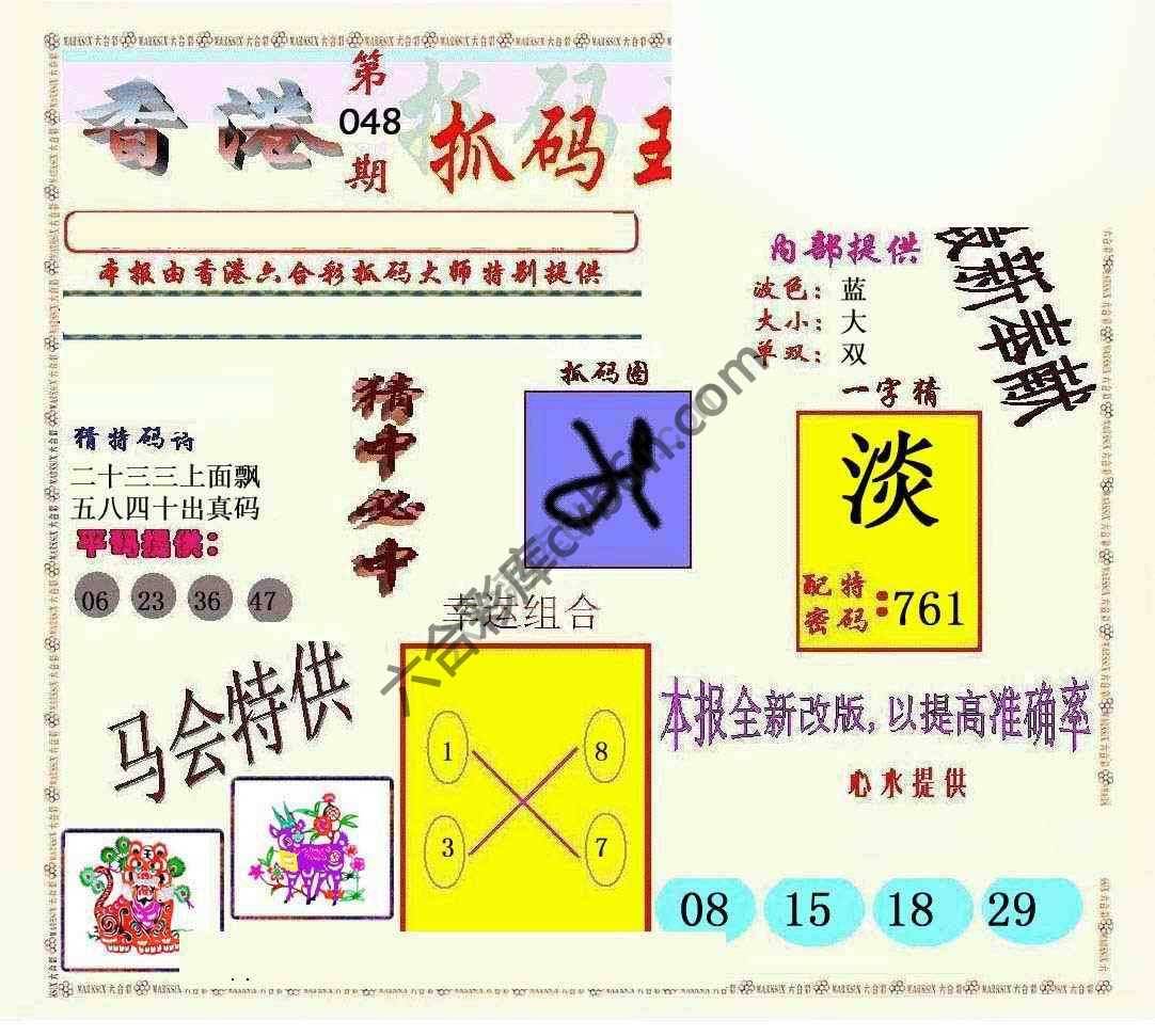 新抓码王