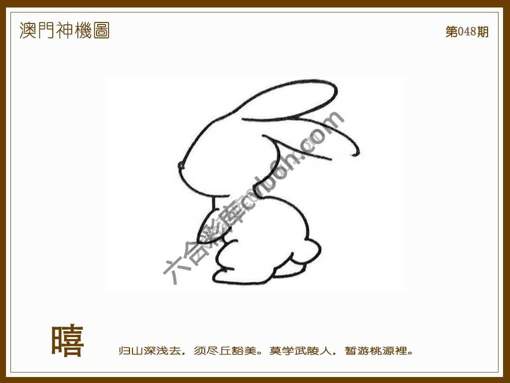 澳门神机图