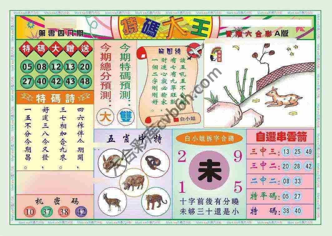 特码大王