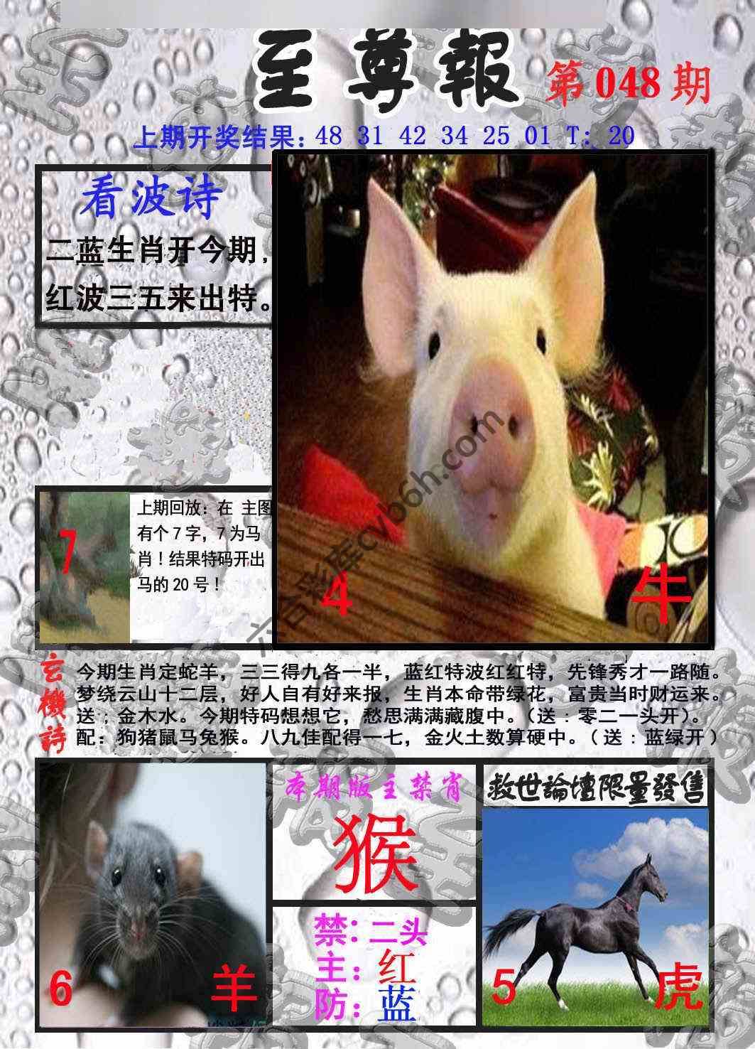 至尊报