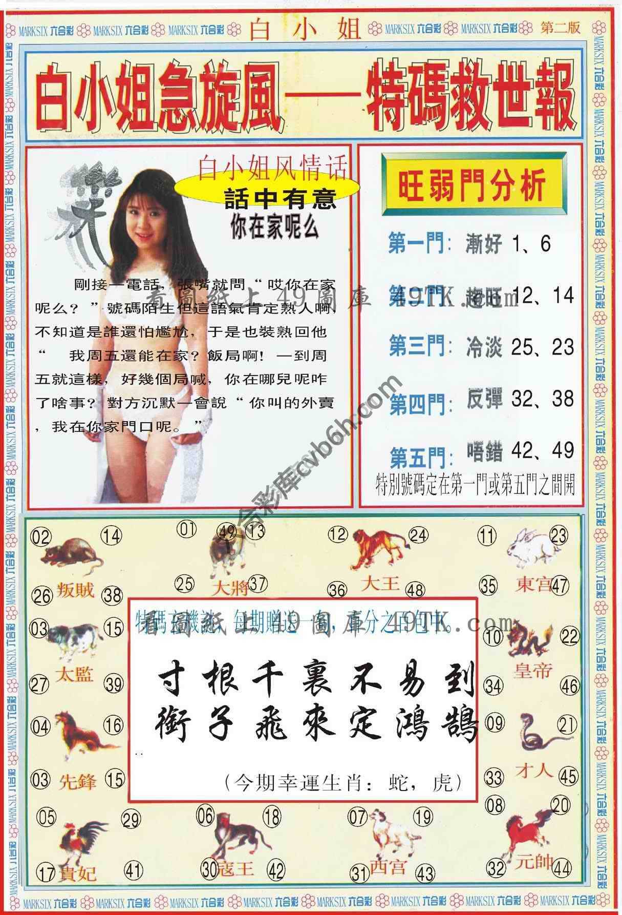 白小姐新特刊