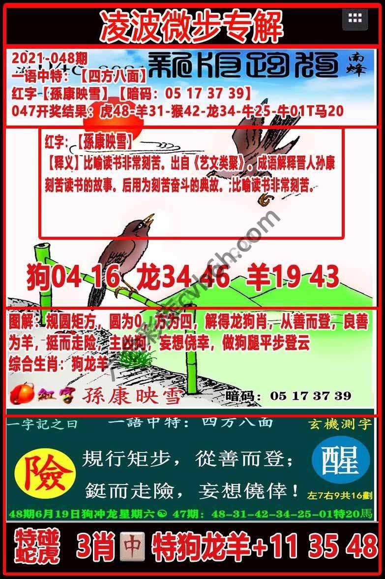 凌波微步解跑狗