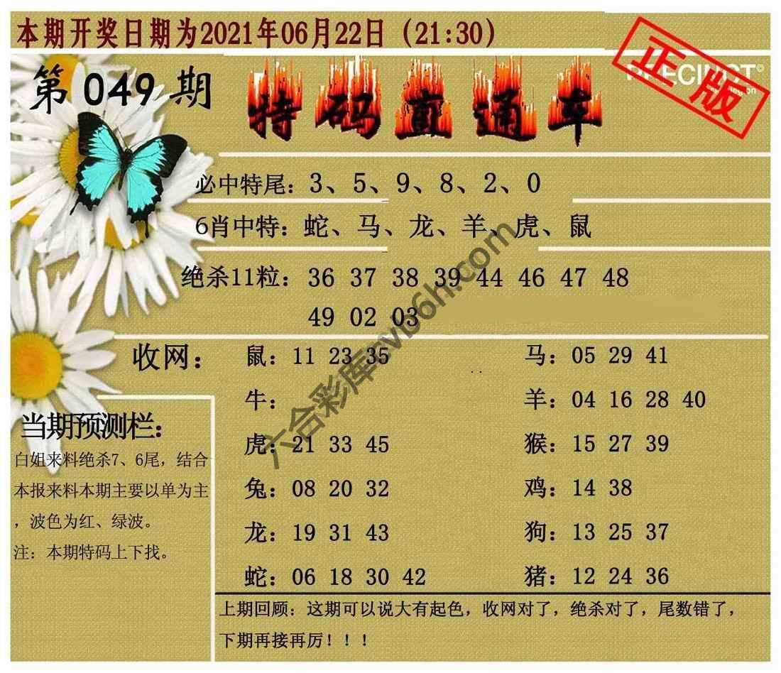特码直通车