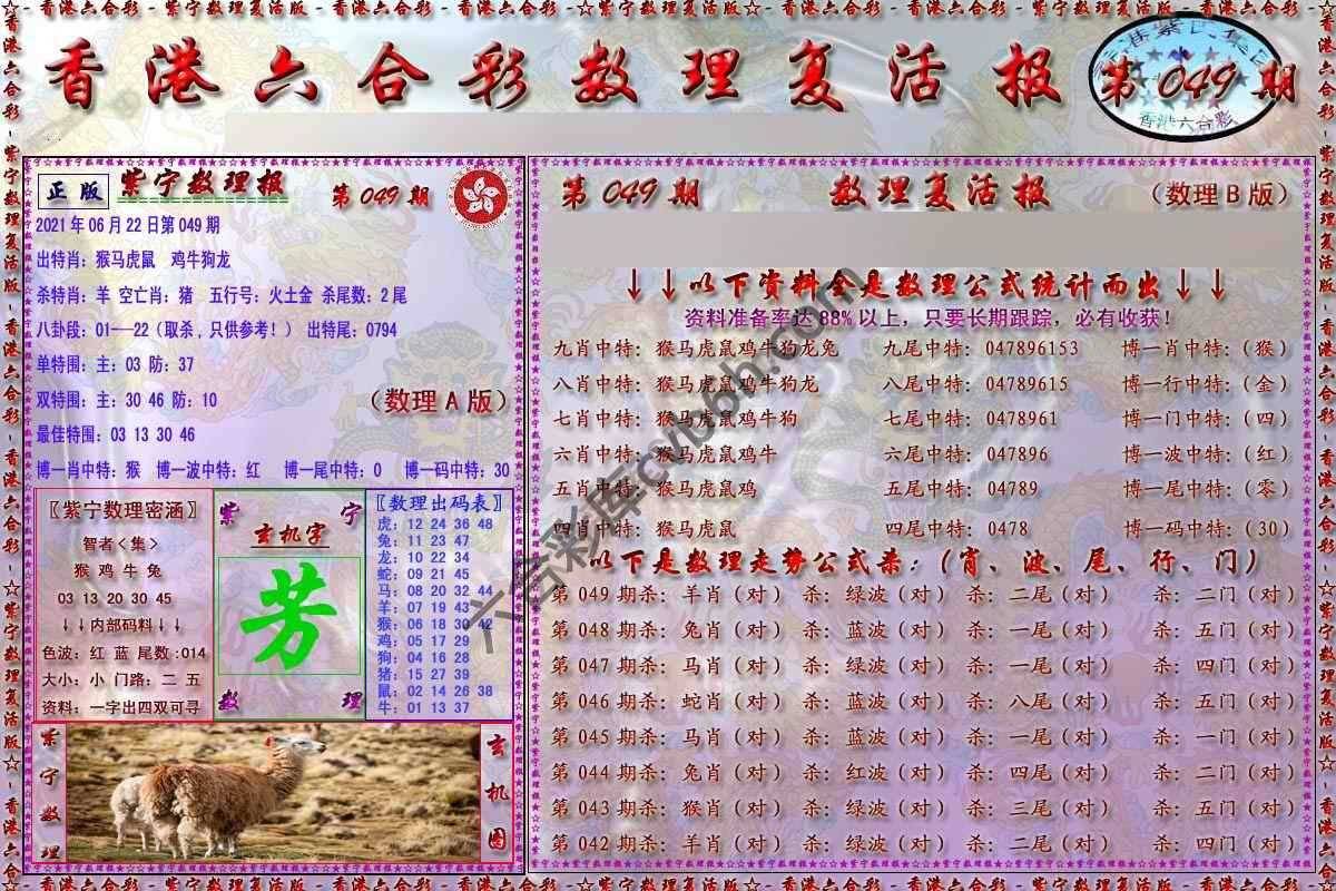 数理复活报