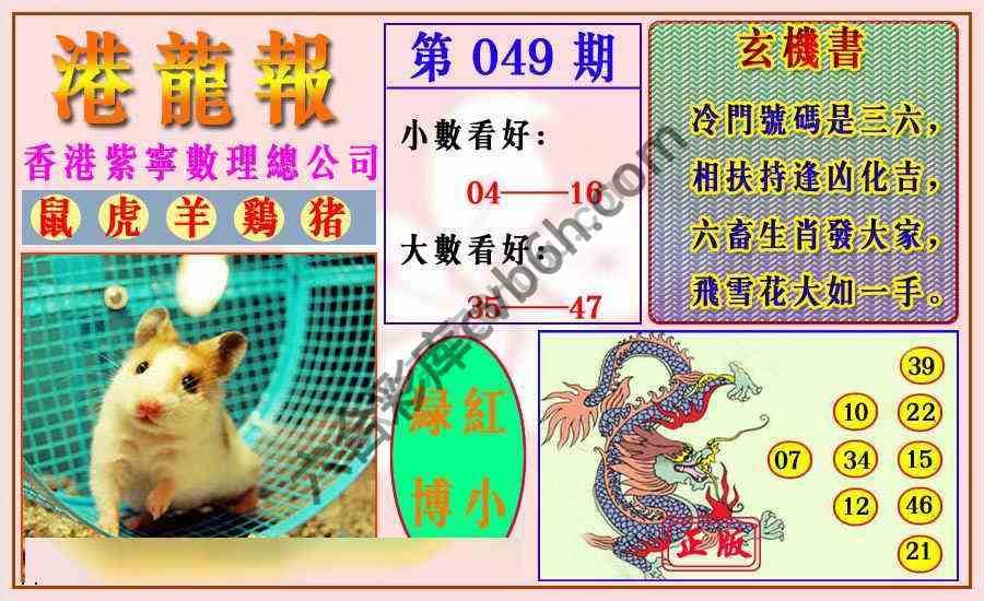 港龙报