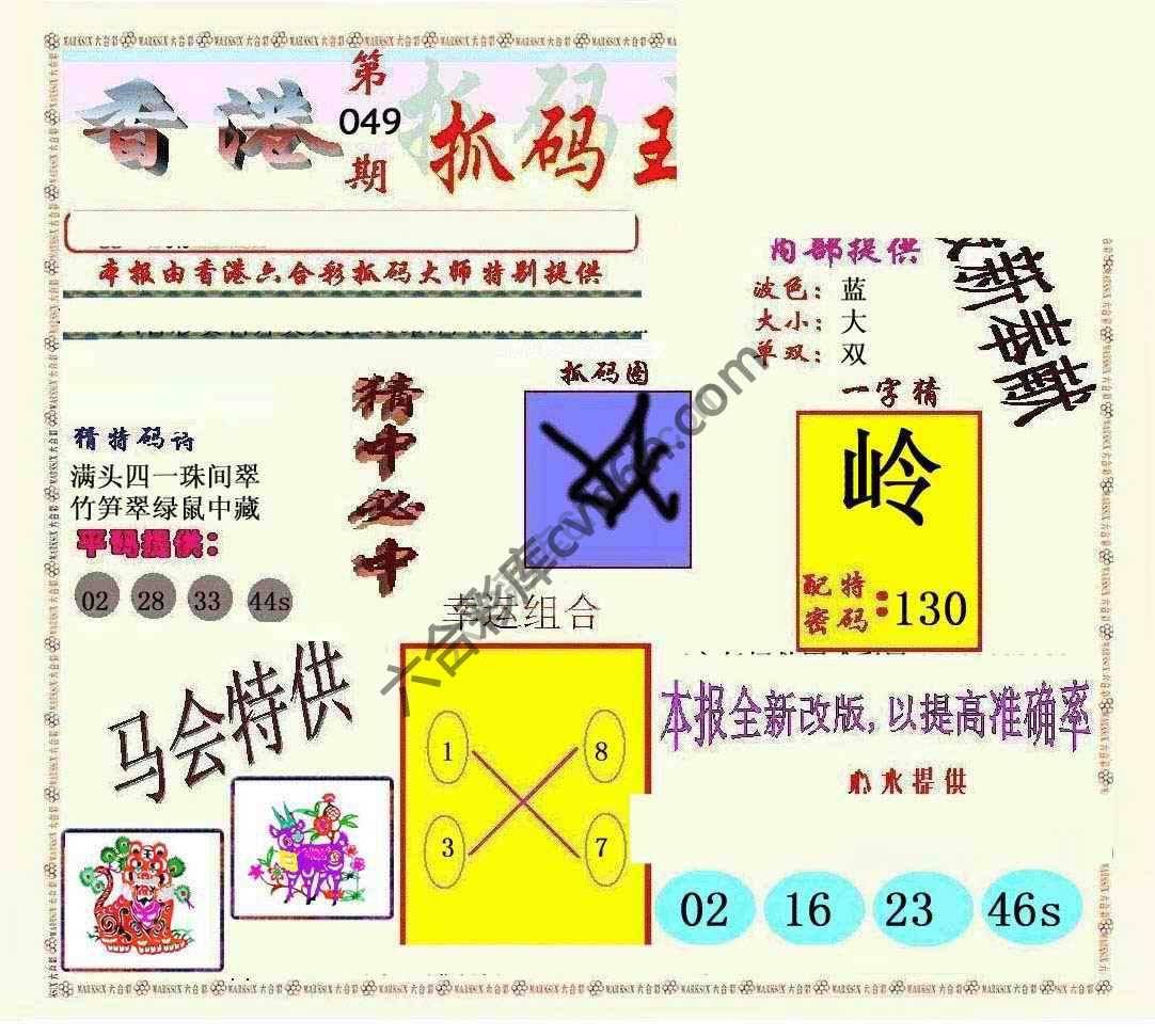 新抓码王