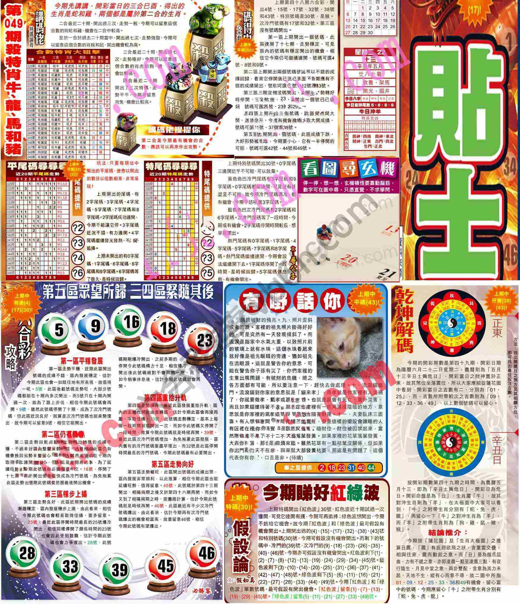 大版贴士皇