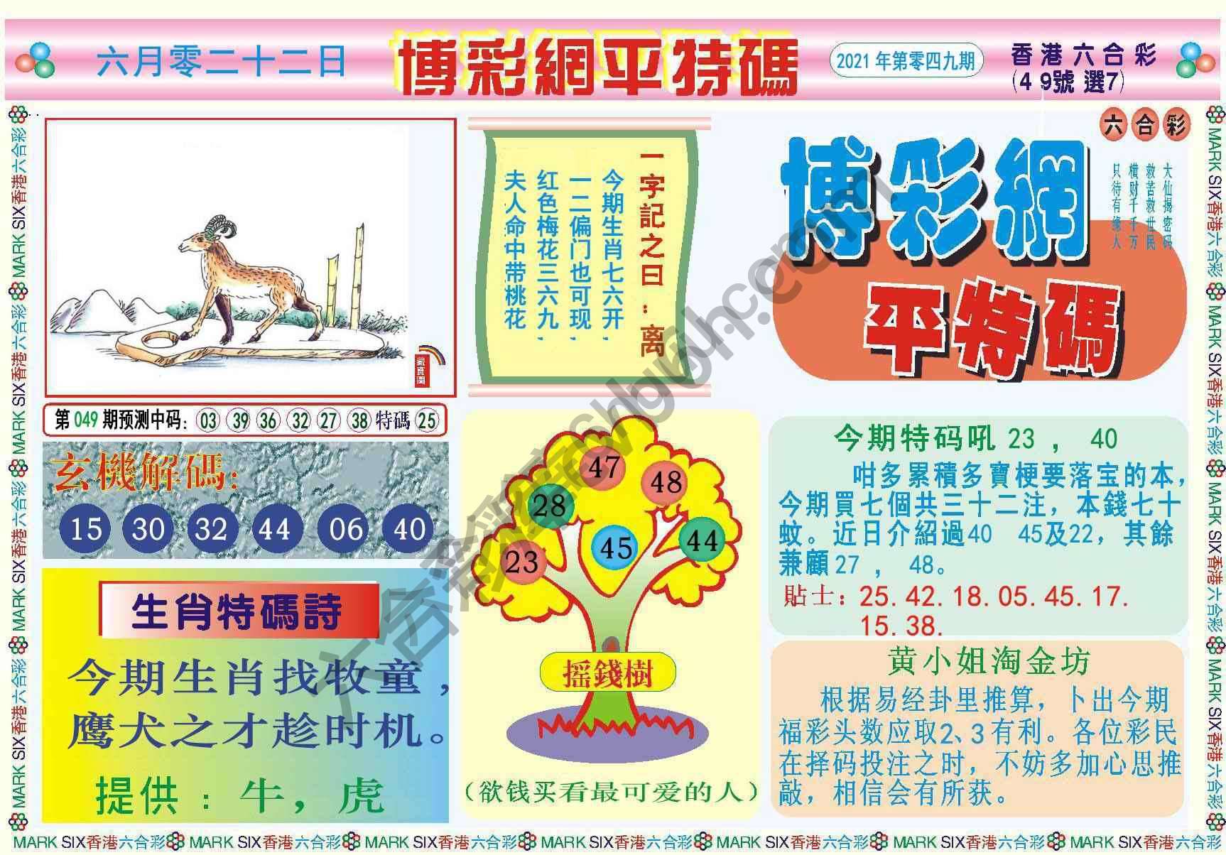 博彩网平特码