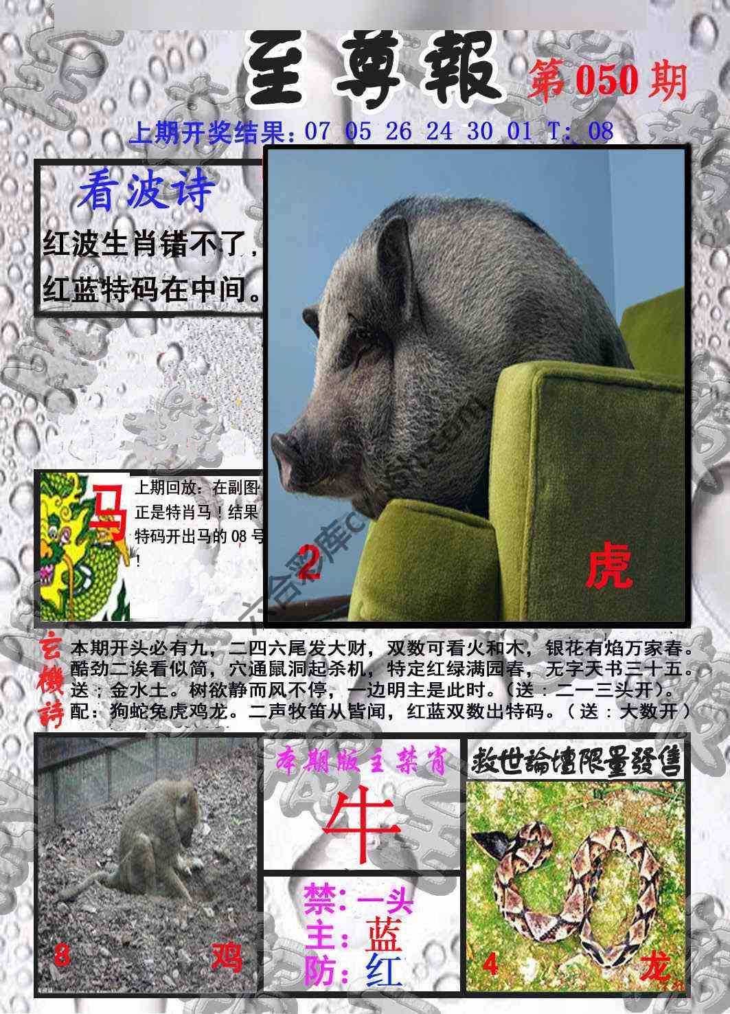 至尊报