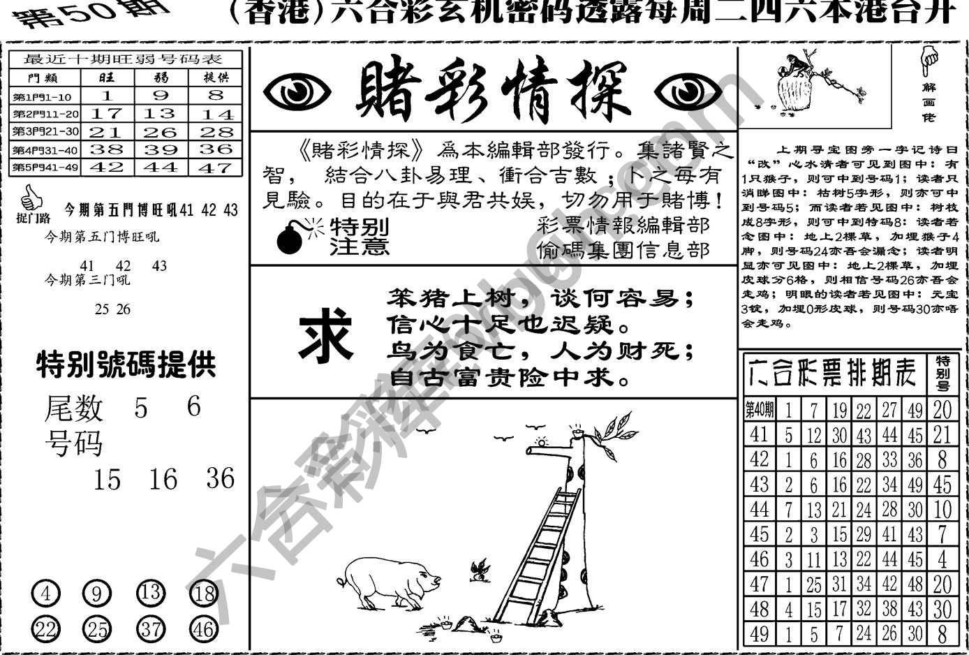 赌彩情探